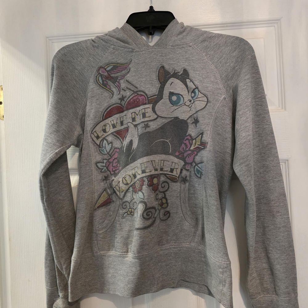 Warner Bros. Gray Graphic Hoodie